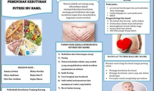 edukasigizi seimbang